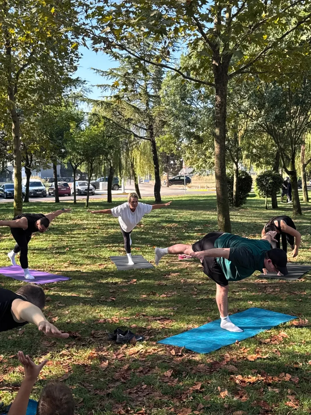 Ağaçların altında matları üzerinde yoga yapan kulüp katılımcıları